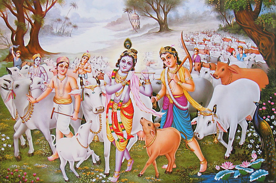 krishna